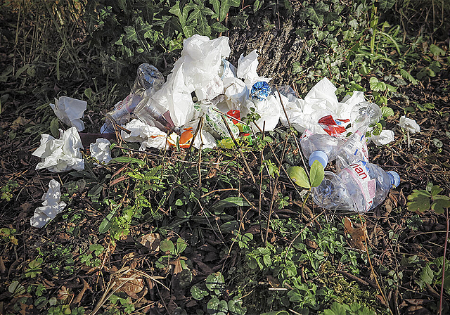 Littering:  Wer in Aesch achtlos Abfälle wegwirft und dabei von der Polizei in flagranti erwischt wird, kann gebüsst werden.  Foto: Edmondo Savoldelli