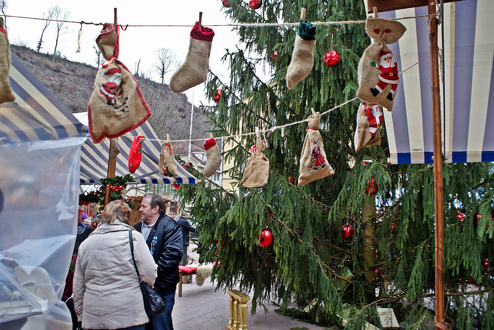 Eine Perle von Baum: Die grosse Weihnachtstanne. 
