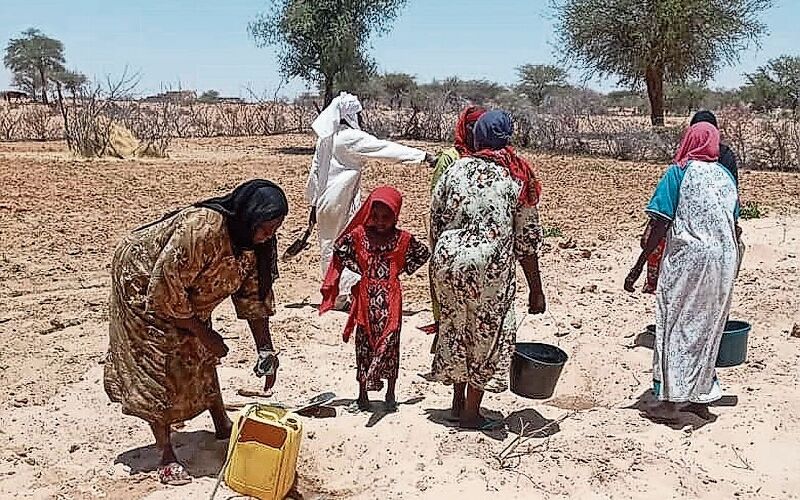 Auf Sand fruchtbares Land: Gemüse- und Getreideanbau für den Eigenbedarf. Bild: zVg
