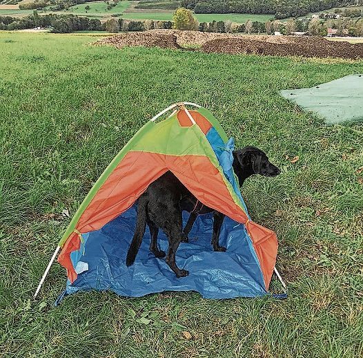 Hundeparcours: An der Hunde-Militarys musste der Hund seinen Weg durchs Zelt finden.