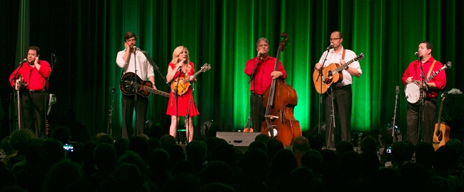 Für einmal a cappella: Rhonda Vincent mit Hunter Berry, Violine, Brent Burke, Dobro, Mickey Harris, Bass, Josh Williams, Gitarre, und Aaron McDarris, Banjo (v.l.). Fotos: Martin Staub Für einmal a cappella: Rhonda Vincent mit Hunter Berry, Violine, Brent Burke, Dobro, Mickey Harris, Bass, Josh Williams, Gitarre, und Aaron McDarris, Banjo (v.l.). Fotos: Martin Staub