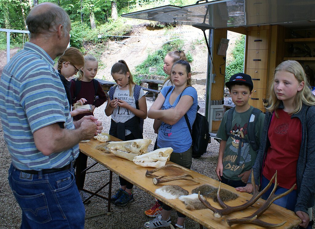 Wildsauschädel und Geweihe: Lehrer Heinz Zahnd erklärt Spannendes. Fotos: Jürg Jeanloz
