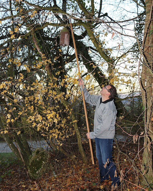 <em>Keine Leiter nötig: </em>Mit dem langen Stab holt Adrian Oser den Nistkasten zum Reinigen hinunter.Fotos: Gaby Walther
