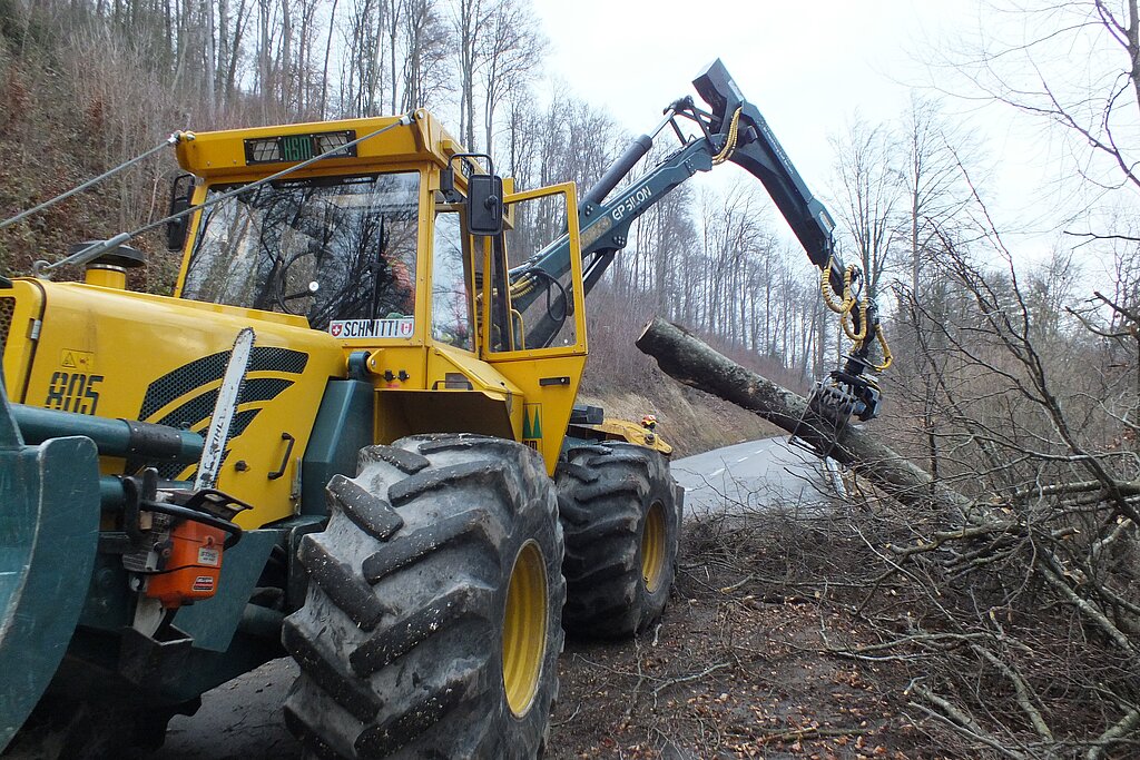 <em>Entlang der Kantonstrasse Büren-Seewen wird zurzeit hart gearbeitet: </em>Sechs Forstwarte und vier Lehrlinge holen 450 Kubikmeter Holz mit zum Teil schweren Geräten aus dem Wald.<em/>