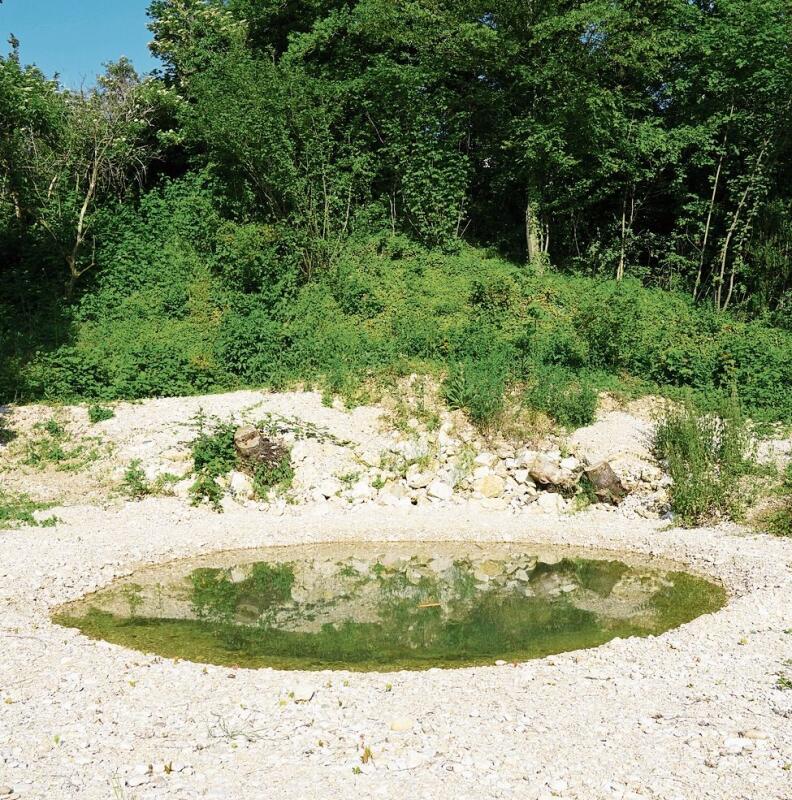 Noch kahl: Die Pfanzen um den Weiher werden in den kommenden Wochen noch wachsen (Bild links). 
Der Natur- und Vogelschutzverein hat ein Schwalbenhotel aufgestellt (Bild rechts). Fotos: Tobias Gfeller