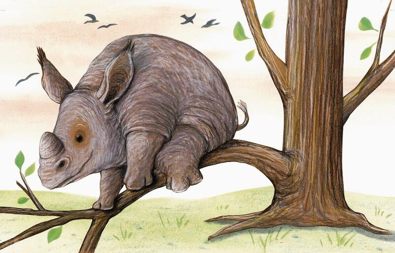 Gefahr gebannt: Das Nashorn klettert auf dem tiefen Ast und nicht, wie ursprünglich vorgesehen, auf einem höheren. Abbildung: ©Kathrin Schärer / Carl Hanser Verlag