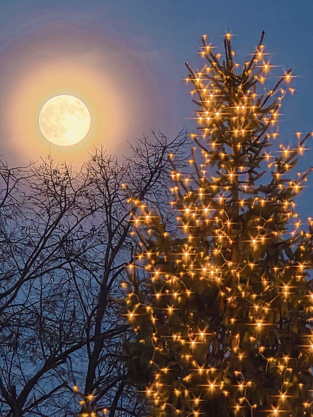 Platz 2: das Bild von Mirjam Berger. Platz 2: das Bild von Mirjam Berger.