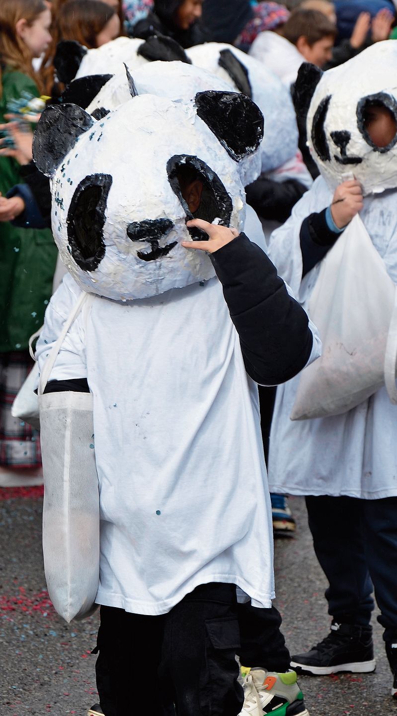 Pandabär: Kostüme aus der Tierwelt waren besonders beliebt. Pandabär: Kostüme aus der Tierwelt waren besonders beliebt.