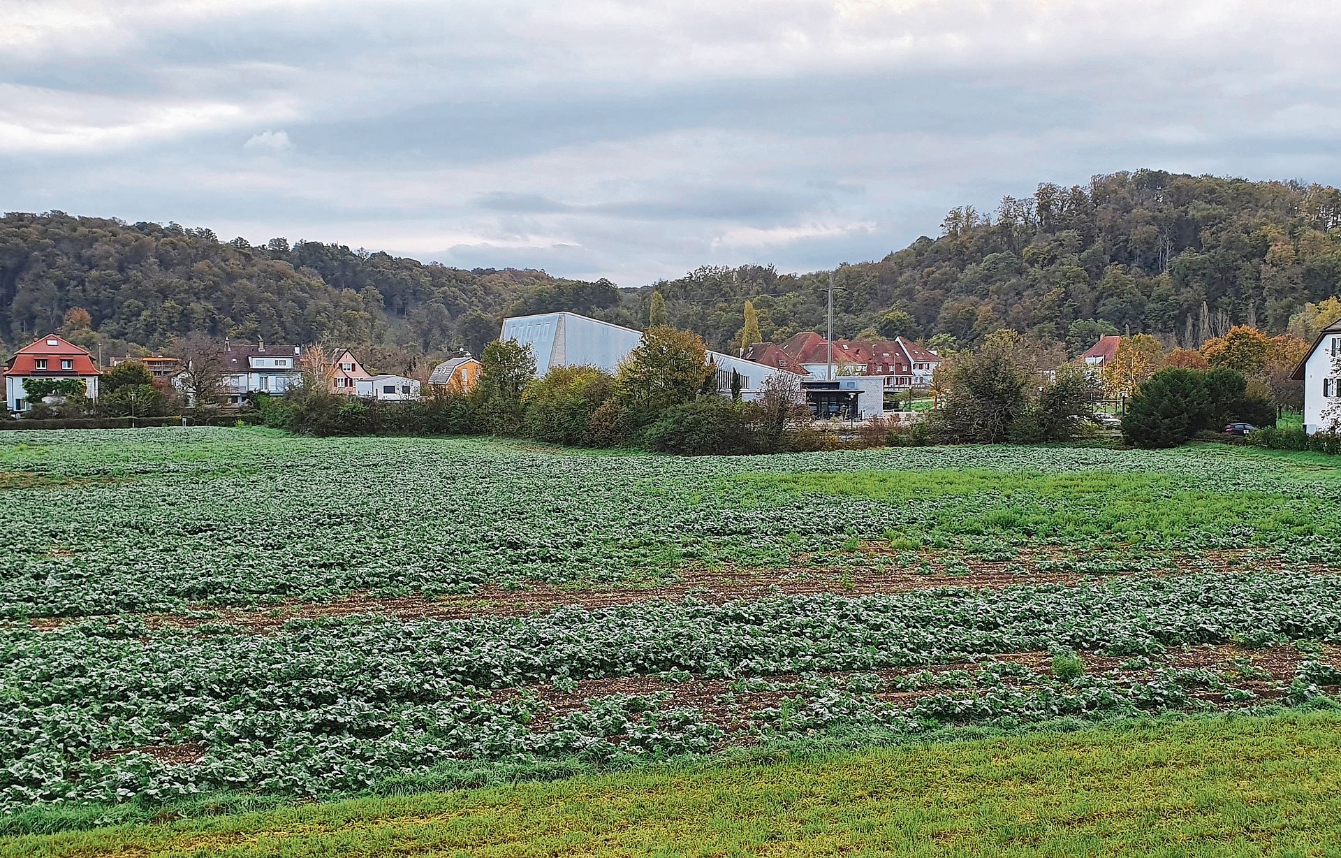 Noch ist es ein Acker: aber die Fläche soll überbaut werden. Foto: Fabia Maieroni / zvg Noch ist es ein Acker: aber die Fläche soll überbaut werden. Foto: Fabia Maieroni / zvg