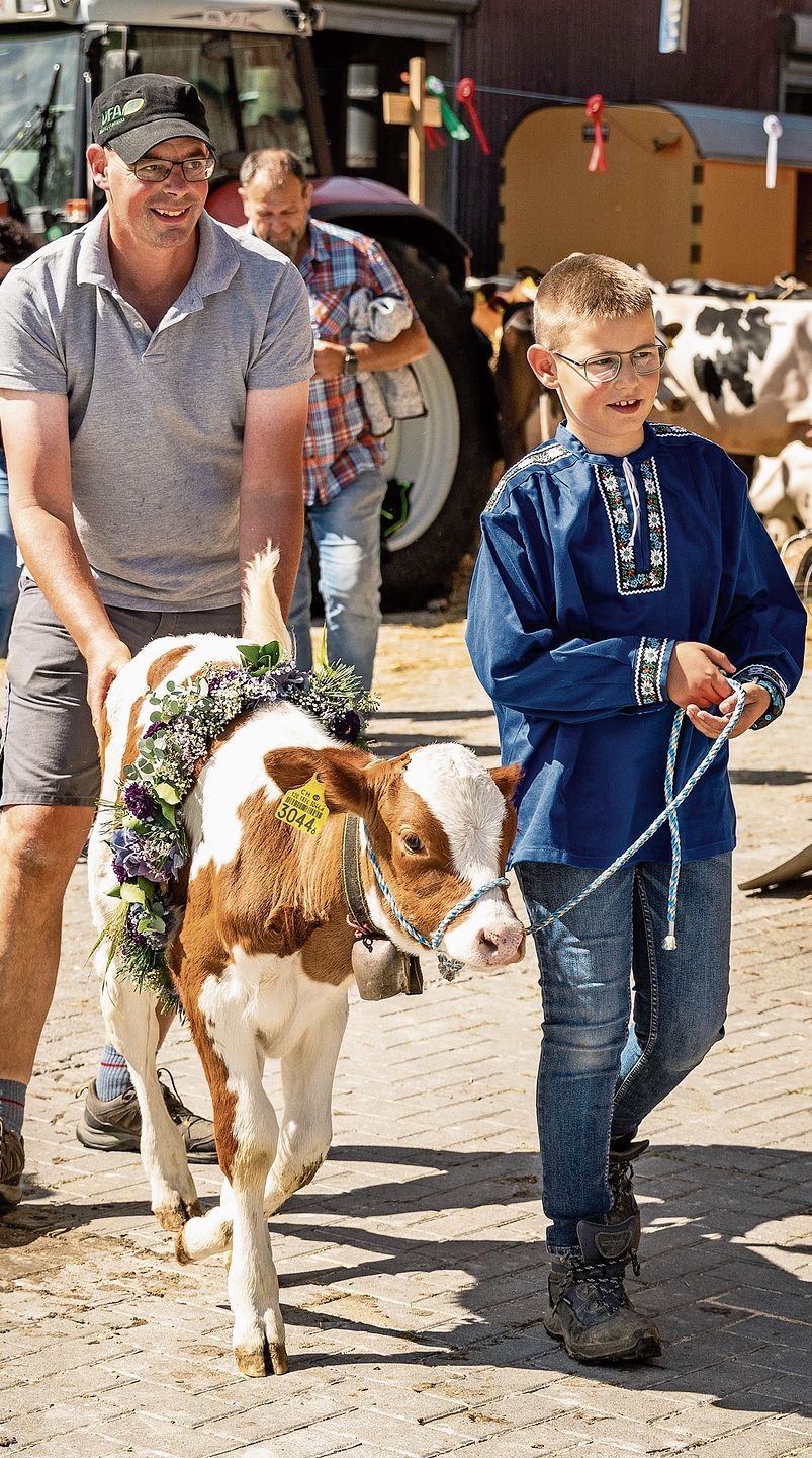 Kälberwettbewerb: Die Kälber wurden von den Kindern zum Platz geführt.