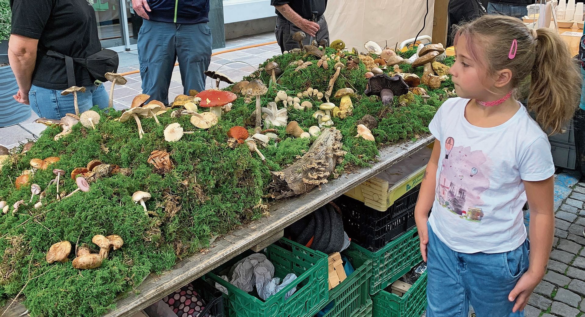 Zum Staunen: Der Pilzverein Laufental-Thierstein zeigte Pilzarten und bot Pilzrisotto an.